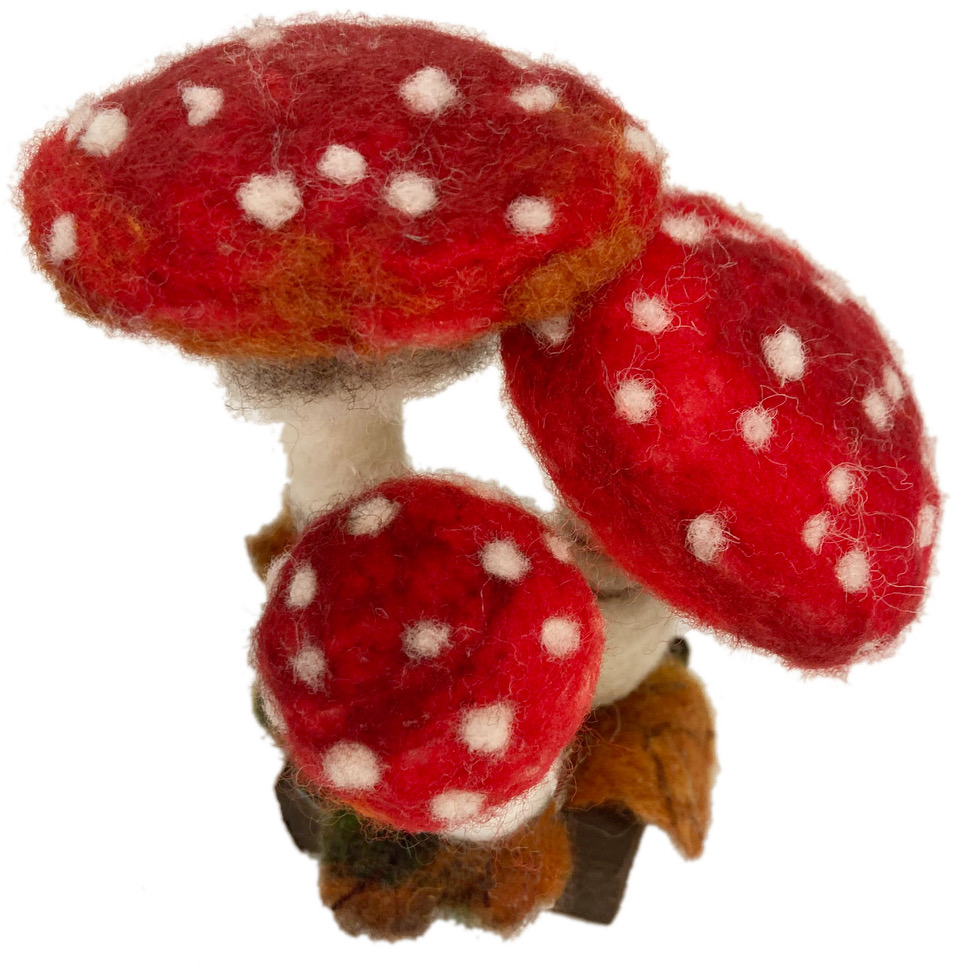 toadstools